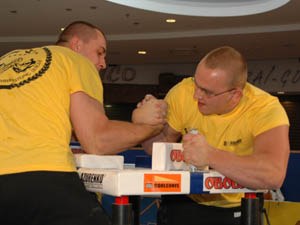 Polska Liga Zawodowa