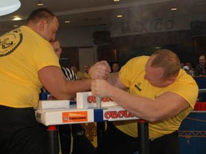 Polska Liga Zawodowa