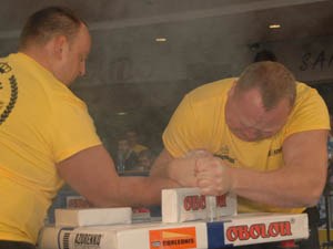 Polska Liga Zawodowa