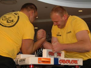 Polska Liga Zawodowa