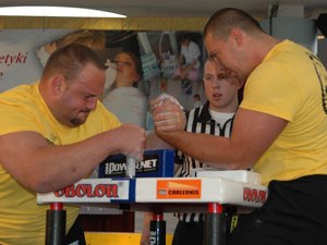 Polska Liga Zawodowa