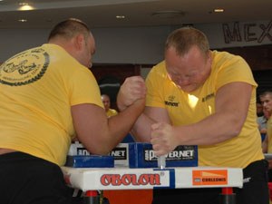 Polska Liga Zawodowa