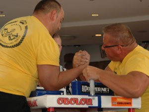 Polska Liga Zawodowa