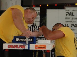 Polska Liga Zawodowa