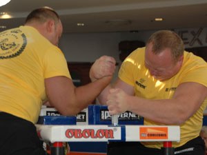 Polska Liga Zawodowa