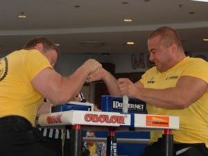 Polska Liga Zawodowa