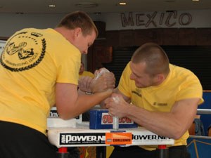 Polska Liga Zawodowa