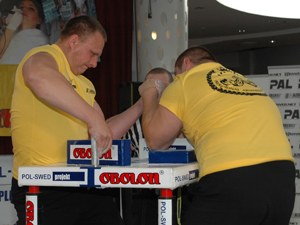 Polska Liga Zawodowa