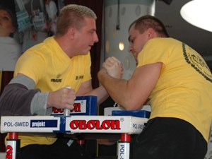 Polska Liga Zawodowa