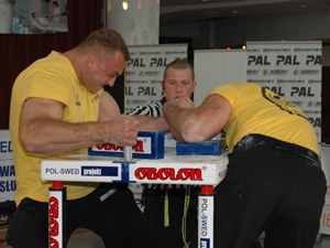 Polska Liga Zawodowa