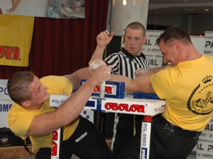 Polska Liga Zawodowa