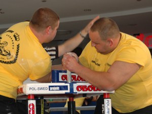 Polska Liga Zawodowa