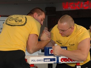 Polska Liga Zawodowa