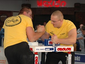 Polska Liga Zawodowa