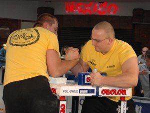 Polska Liga Zawodowa