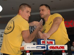 Polska Liga Zawodowa