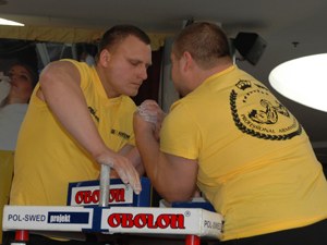 Polska Liga Zawodowa