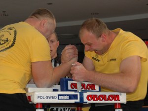 Polska Liga Zawodowa