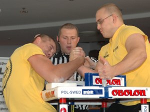 Polska Liga Zawodowa