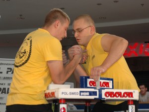 Polska Liga Zawodowa