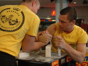 Polska Liga Zawodowa