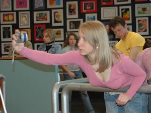 Polska Liga Zawodowa