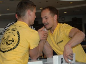 Polska Liga Zawodowa