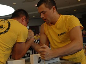 Polska Liga Zawodowa