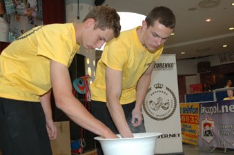 Polska Liga Zawodowa