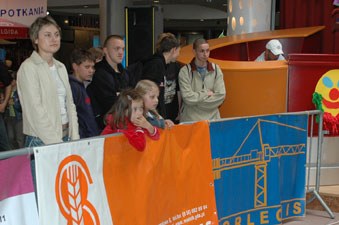 Polska Liga Zawodowa