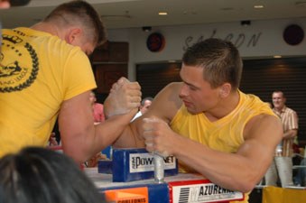 Polska Liga Zawodowa