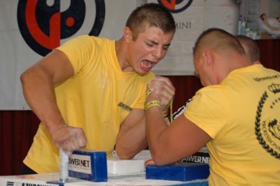 Polska Liga Zawodowa