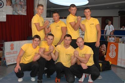 Polska Liga Zawodowa