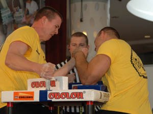 Polska Liga Zawodowa