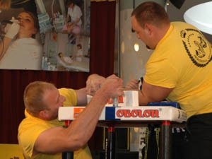 Polska Liga Zawodowa