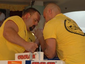 Polska Liga Zawodowa