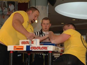 Polska Liga Zawodowa