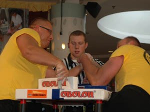 Polska Liga Zawodowa