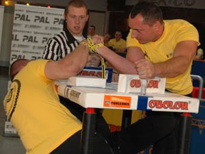 Polska Liga Zawodowa