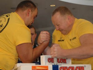 Polska Liga Zawodowa