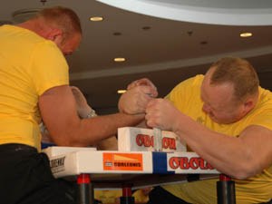 Polska Liga Zawodowa