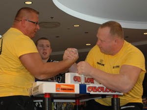 Polska Liga Zawodowa