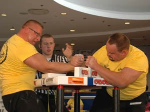 Polska Liga Zawodowa