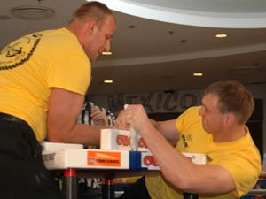 Polska Liga Zawodowa