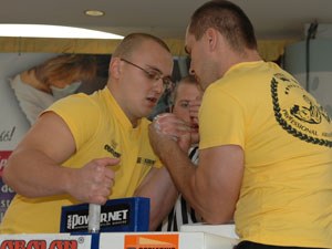 Polska Liga Zawodowa