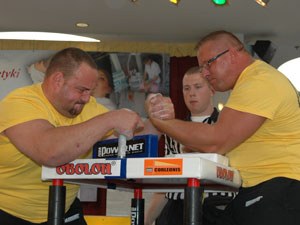 Polska Liga Zawodowa