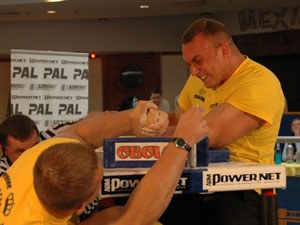 Polska Liga Zawodowa