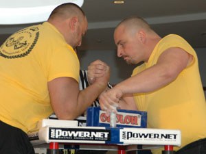 Polska Liga Zawodowa