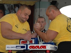 Polska Liga Zawodowa