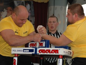 Polska Liga Zawodowa